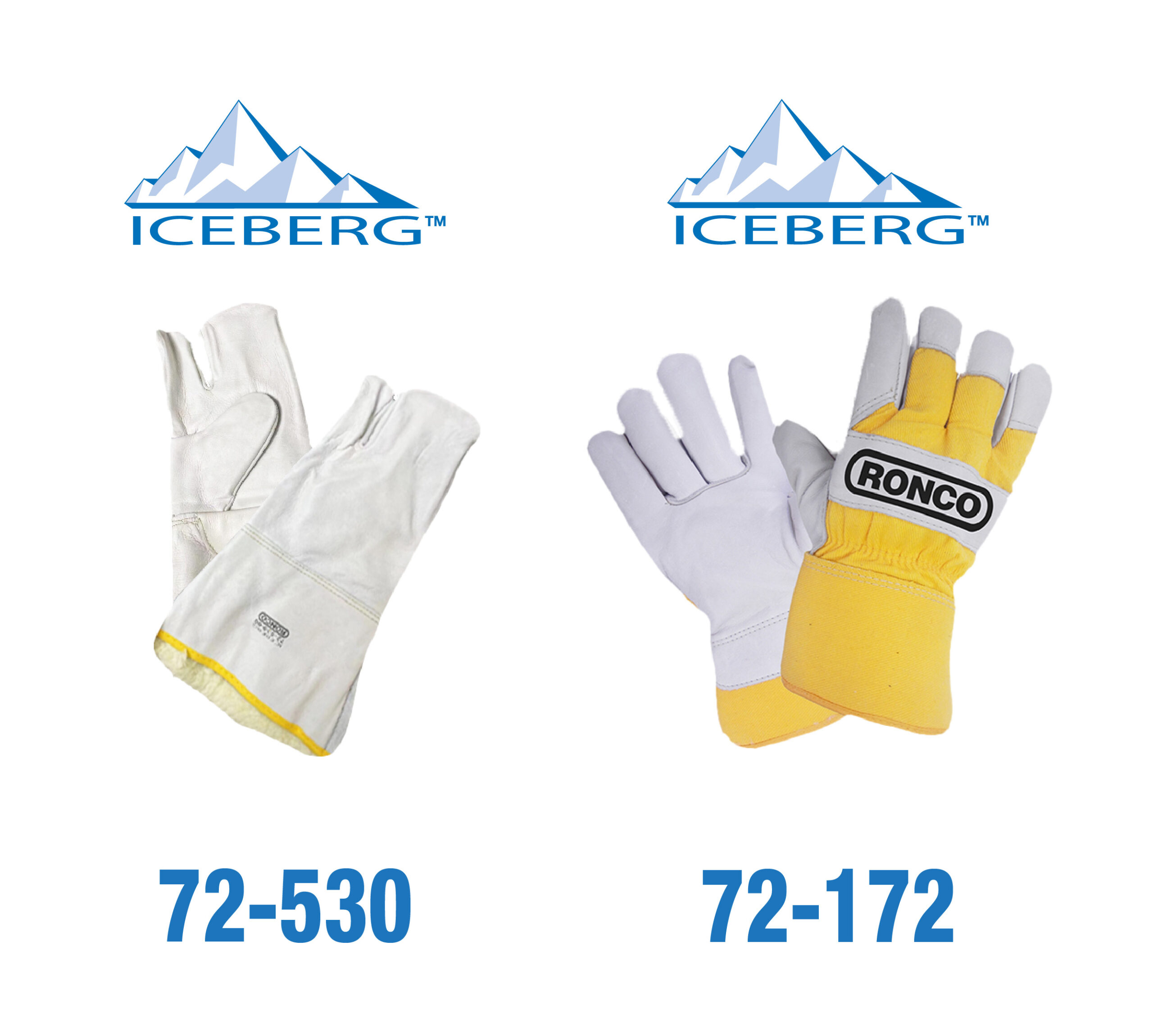 Blog Inner Right Image